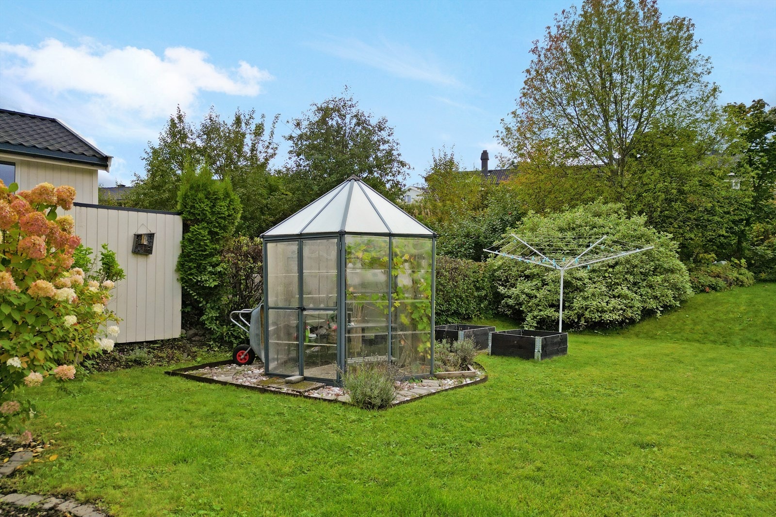 Romslig tomt. Galleribilde