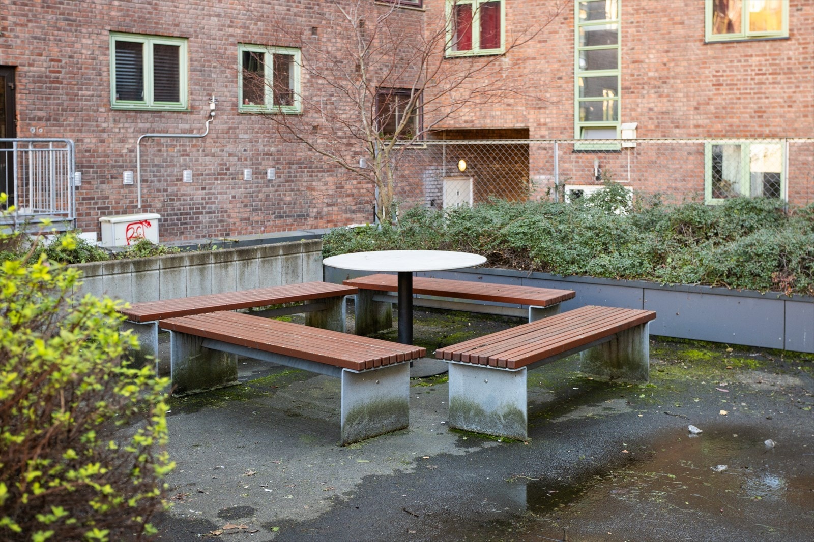 Hyggelig bakgård. Galleribilde