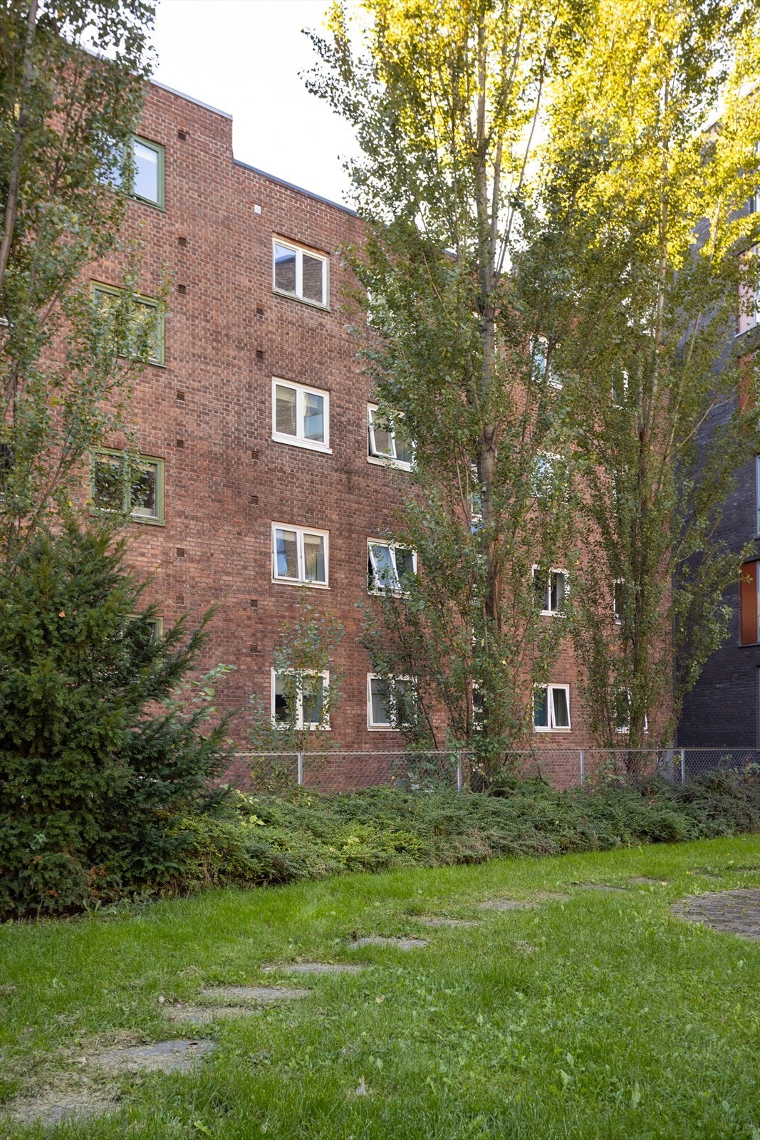 Hyggelig bakgård. Galleribilde