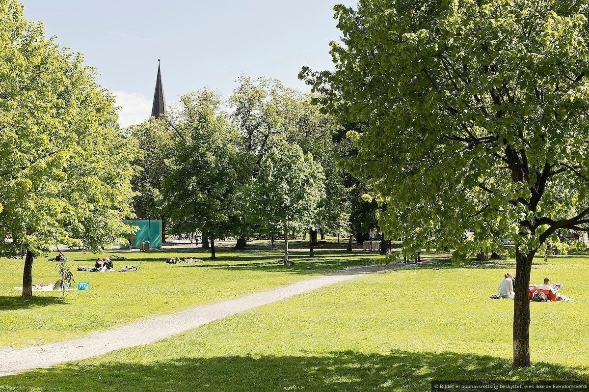 Idylliske Sofienbergparken. Galleribilde