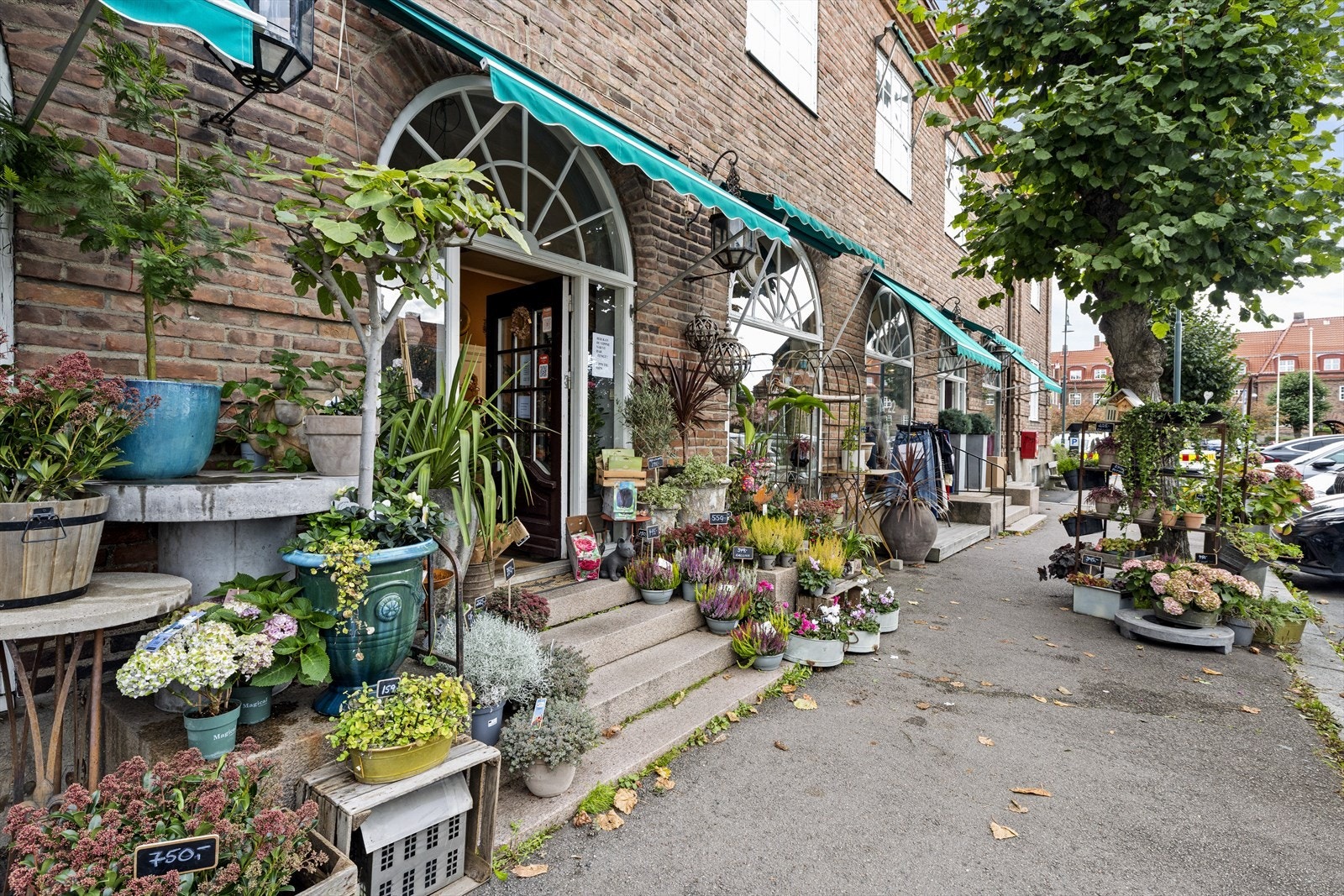 Blomsterbutikken på Damplassen. Galleribilde
