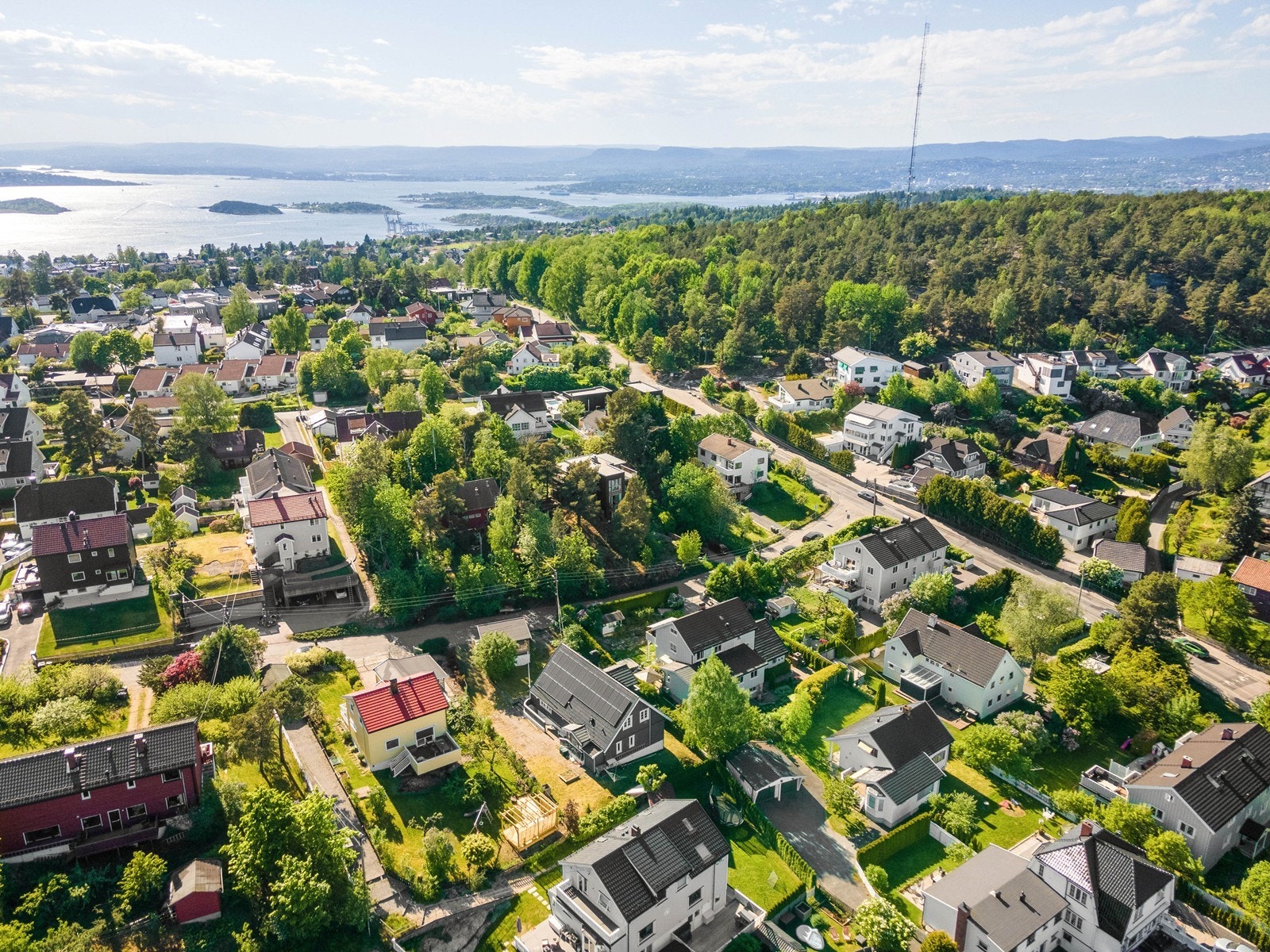 Brannfjellskogen like ved med flotte turmuligheter Galleribilde