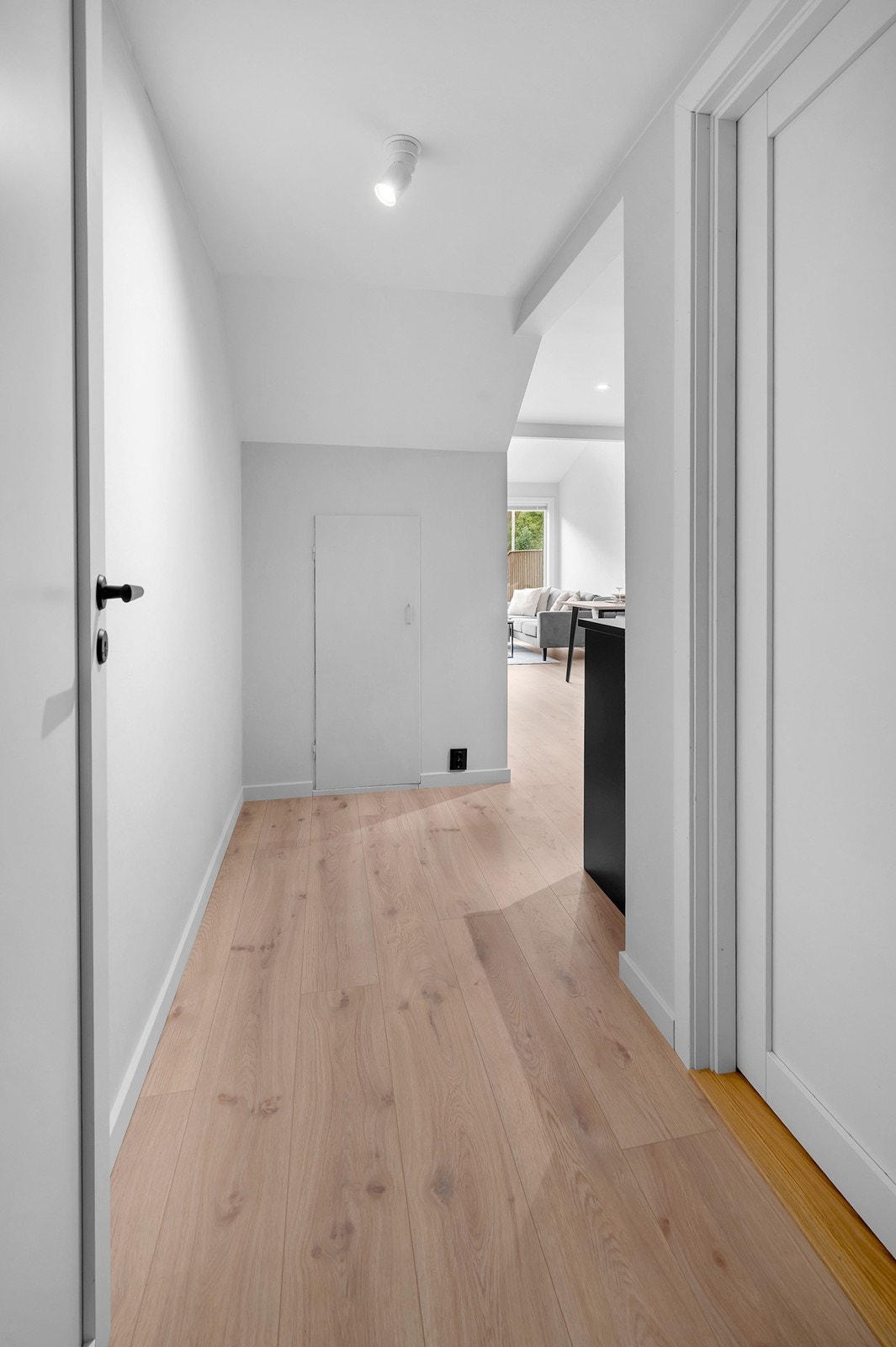 Fra gang i underetasje med dør til kott under trapp. Perfekt for ekstra lagringsplass. Galleribilde