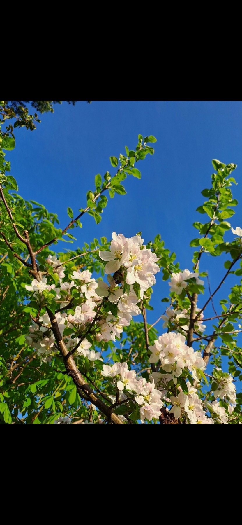 Privat bilde Galleribilde