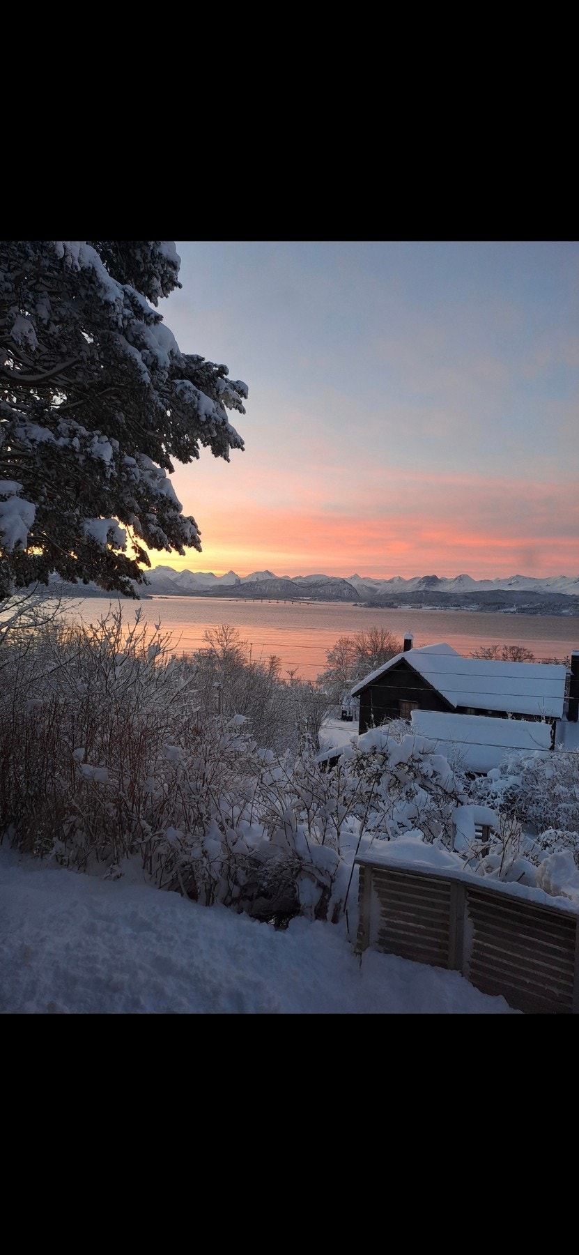 Privat bilde Galleribilde