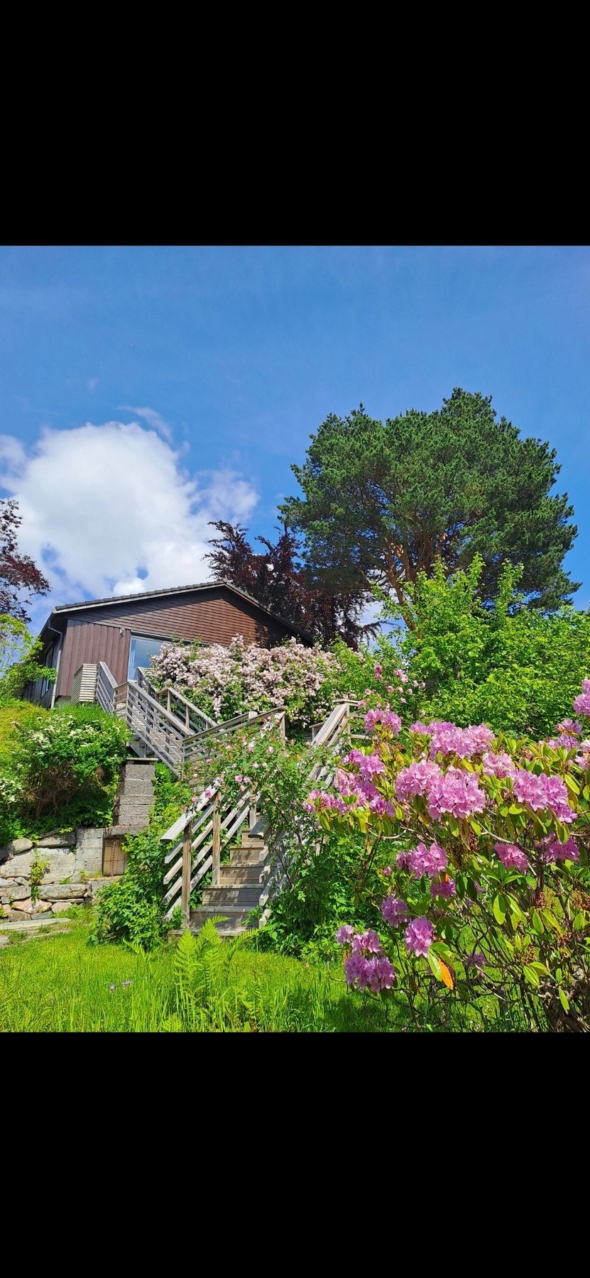 Privat bilde Galleribilde