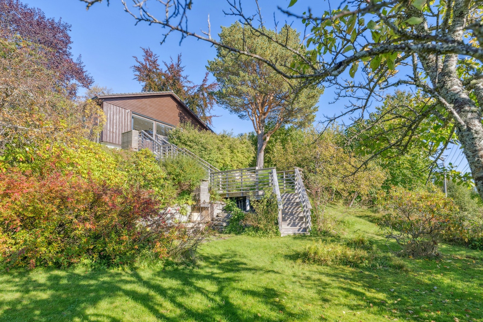 Hage med bærbusker og frukttrær Galleribilde