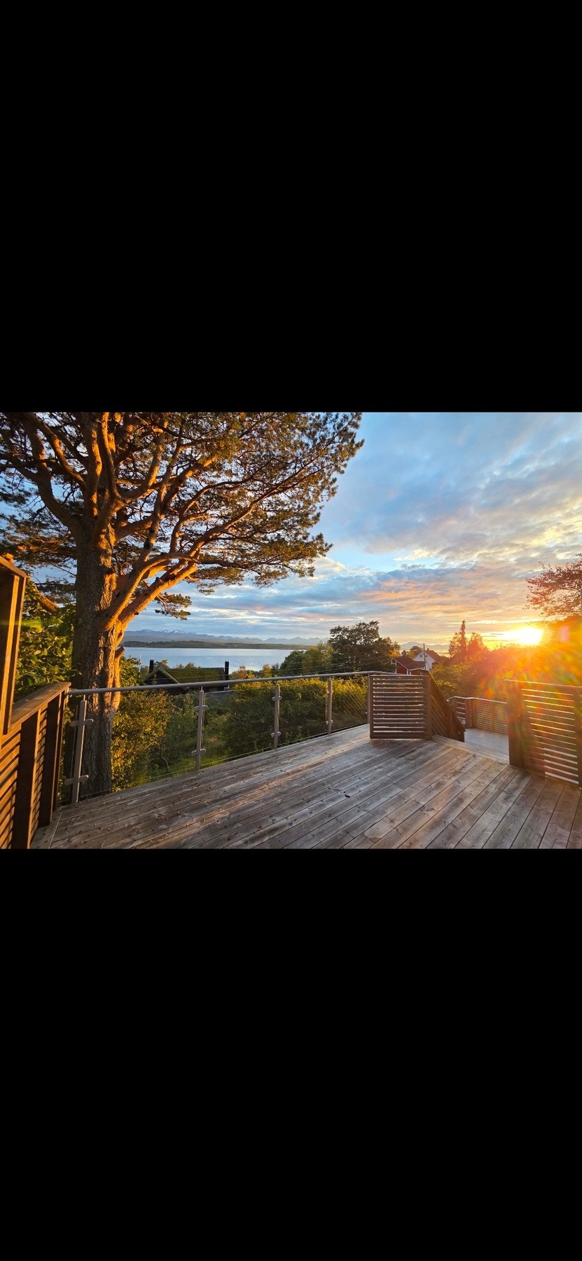 Privat bilde Galleribilde