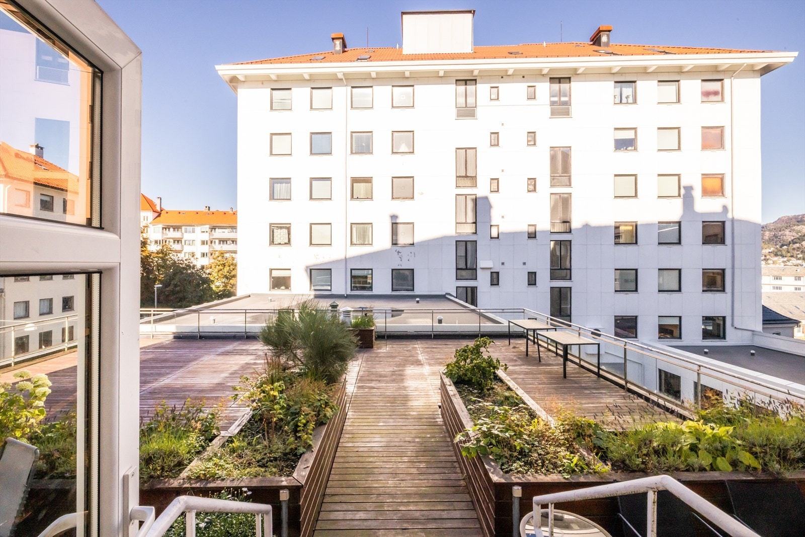 Sameiet har felles takterrasse med utgang fra byggets 4. etg. Galleribilde