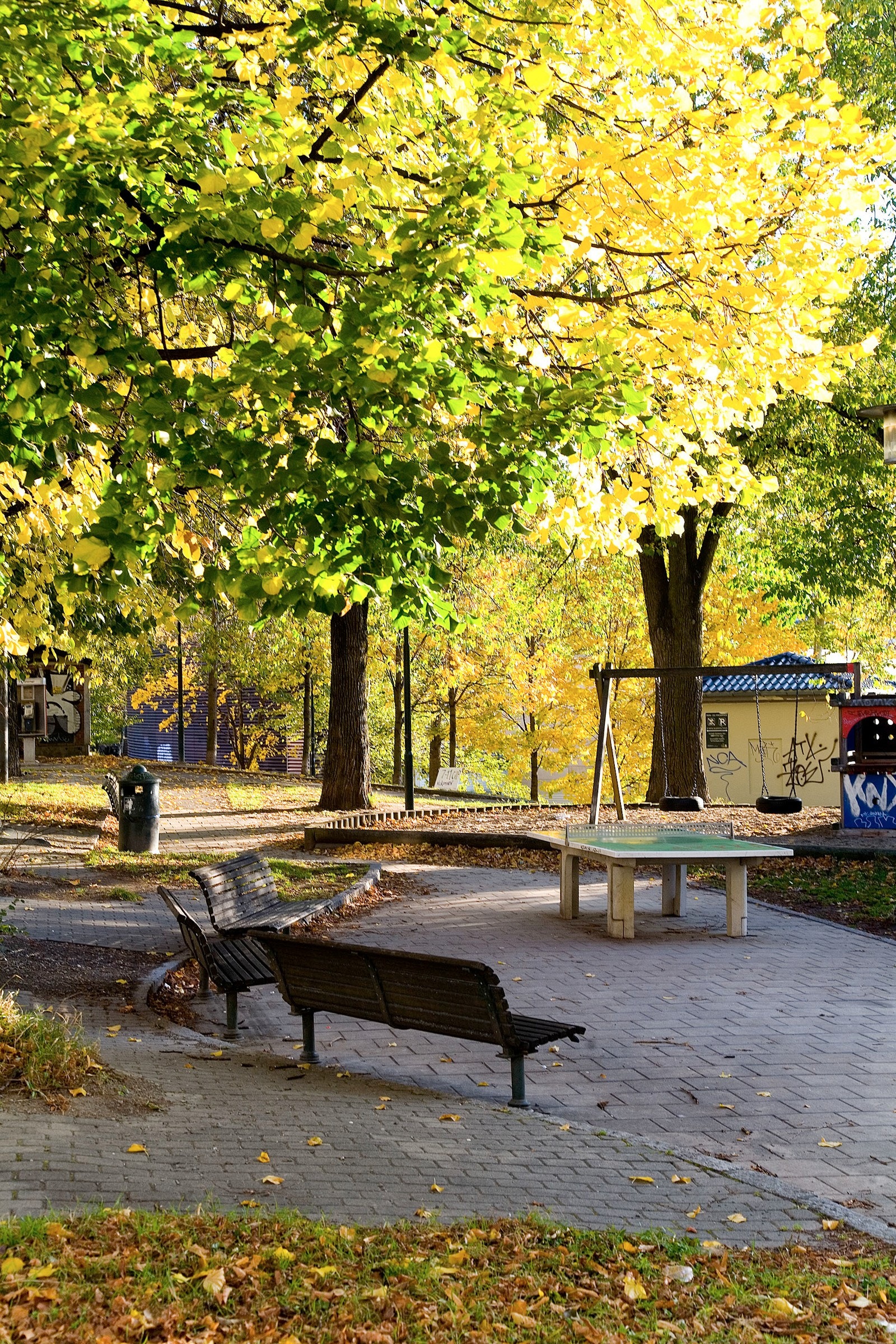 Rodeløkka byr på rolige parkområder og grønne oaser, perfekte for spaserturer, lek og avslapning rett utenfor døren. Galleribilde