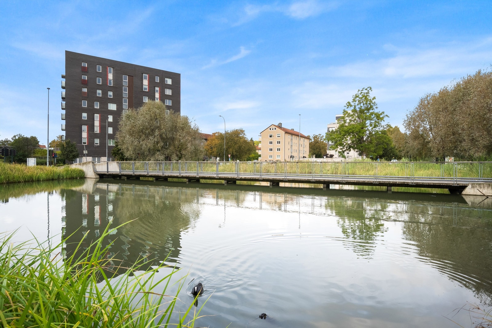 Umiddelbar nærhet til Tegleverksdammen, et sentralt område for natur, rekreasjon og et sted for lokalbefolkningen å samles, med et yrende fugle- og fiskeliv. Galleribilde