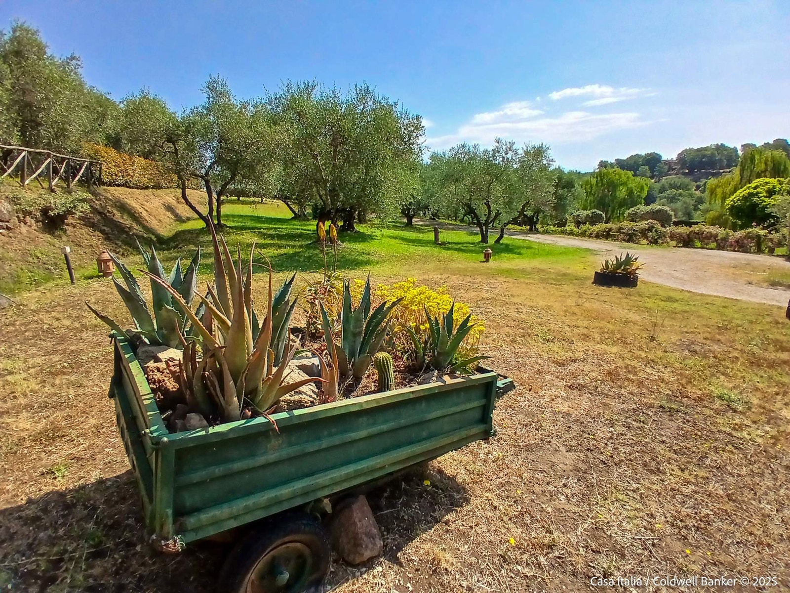 Omlandet krever en egen omvisning. De 60 målene inneholder alt fra hageområder til oliven- og hasseltre-lunder, frukttrær, kjøkkenhage, fotballbane og mye annet. Galleribilde