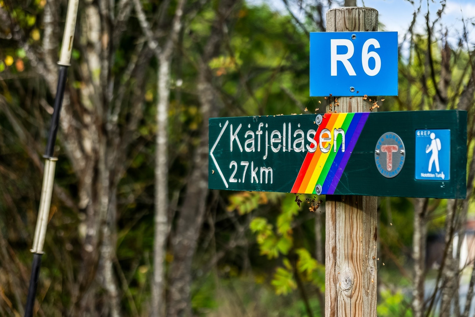 Mange fine turområder rett utenfor døren! Galleribilde