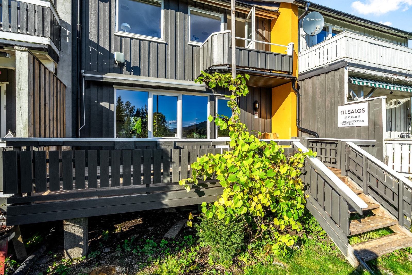 Flere artige vekster i hagen som blant annet honningknoppurt, blå drueplante (små, men søte druer), blodlønn, løpestikke og villbringebær! Galleribilde