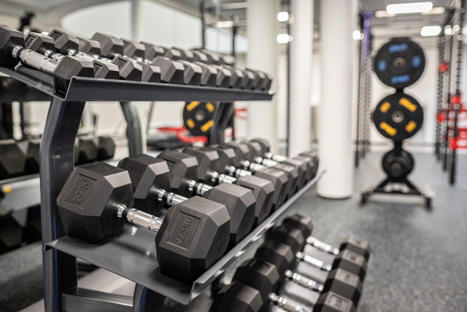 Treningsrom Galleribilde