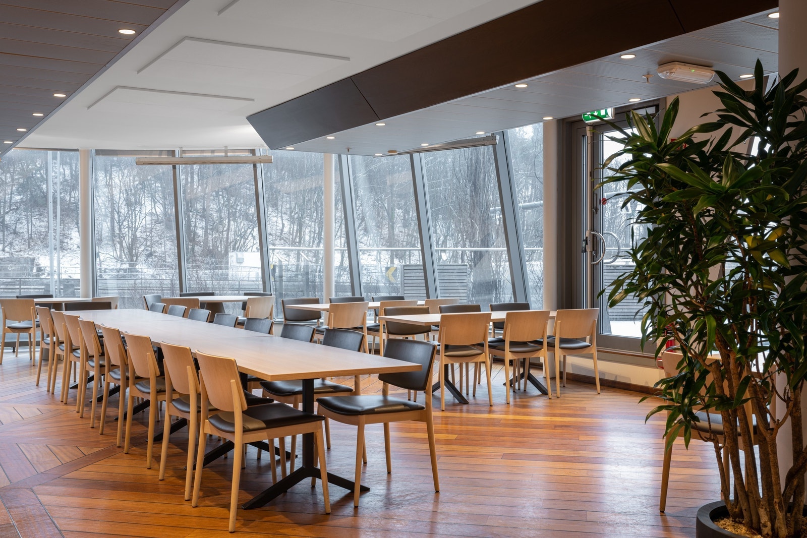 Kantine Galleribilde