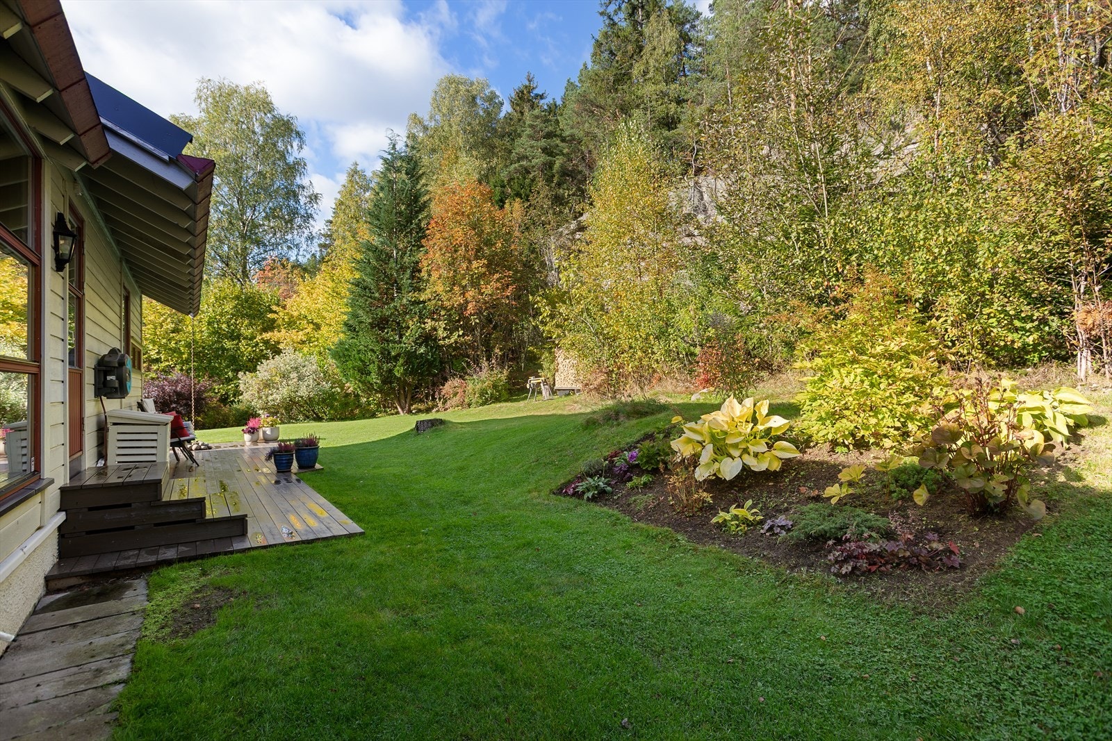 Usjenert grensende mot skogen Galleribilde