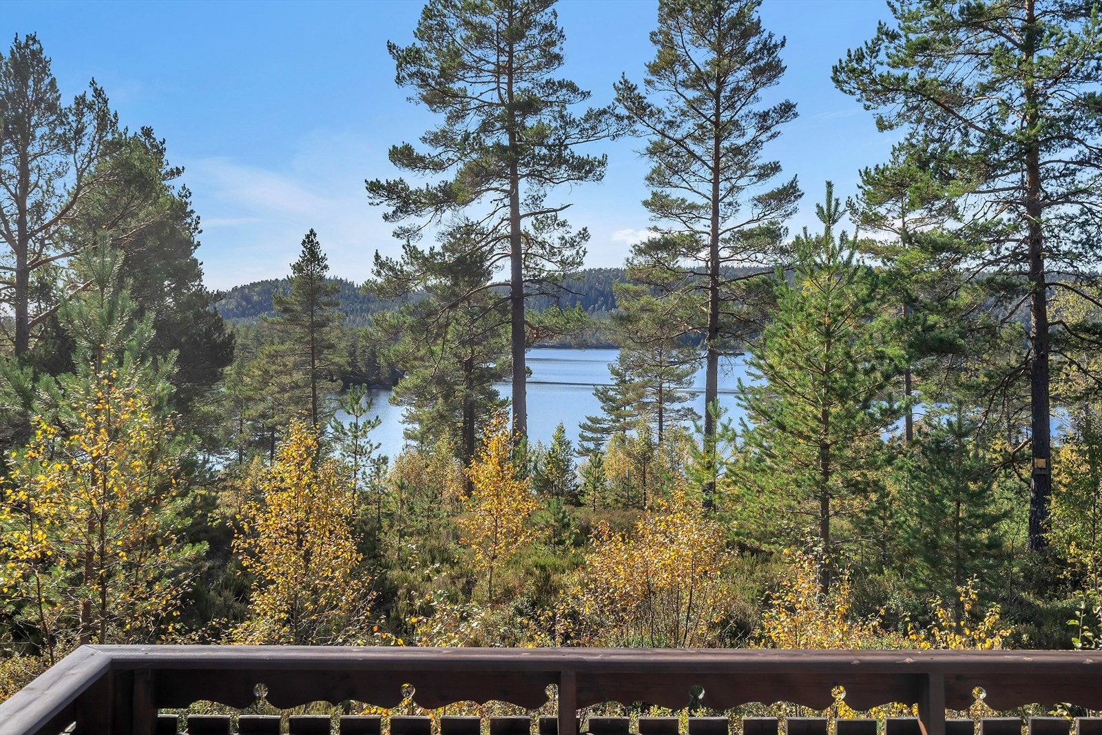 Fint turområde både sommer og vinter Galleribilde