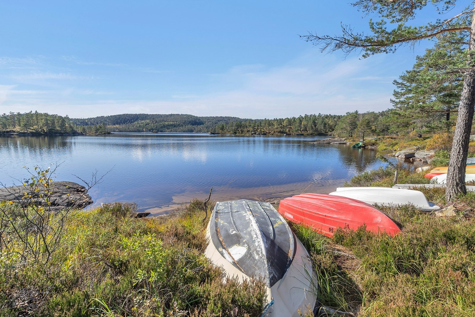 Hytta har rett til en båtplass ved Førevatn Galleribilde