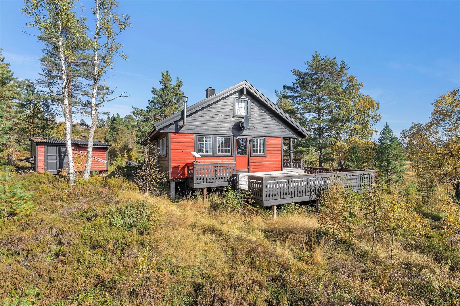 Naturen like i nærheten Galleribilde