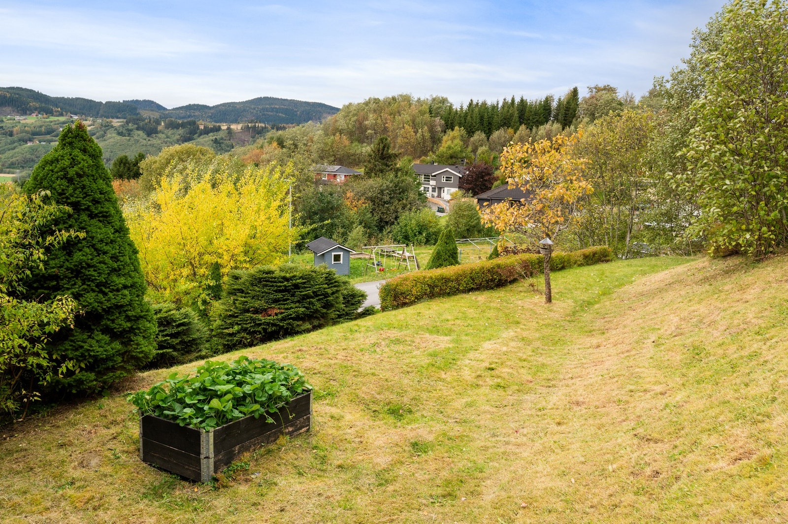 Hage mot velforeningens lekeplass. Galleribilde