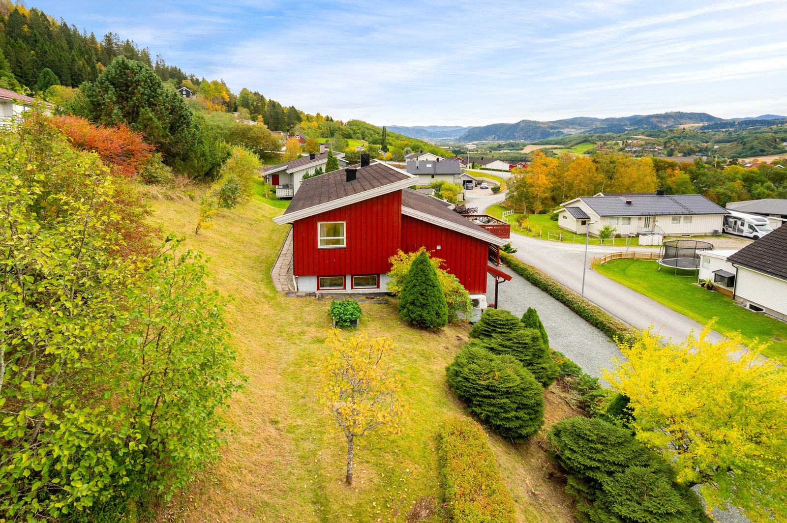 Her har du blant annet 2 fruktrike plommetrær. Galleribilde