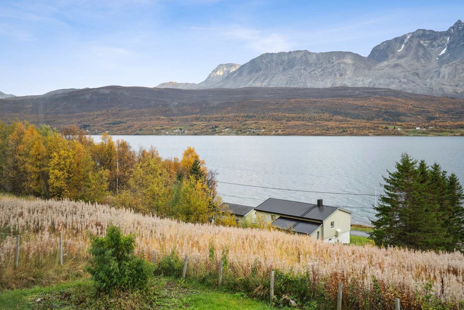Utsikt. Galleribilde