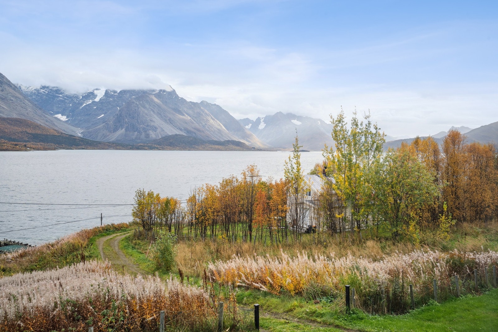 Utsikt fra tomt. Galleribilde