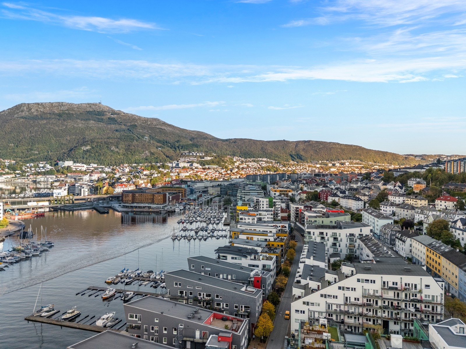 - Dette er en leilighet som passer perfekt for deg som ønsker en moderne, lettstelt og innflyttingsklar bolig med god planløsning og sentral beliggenhet - Galleribilde