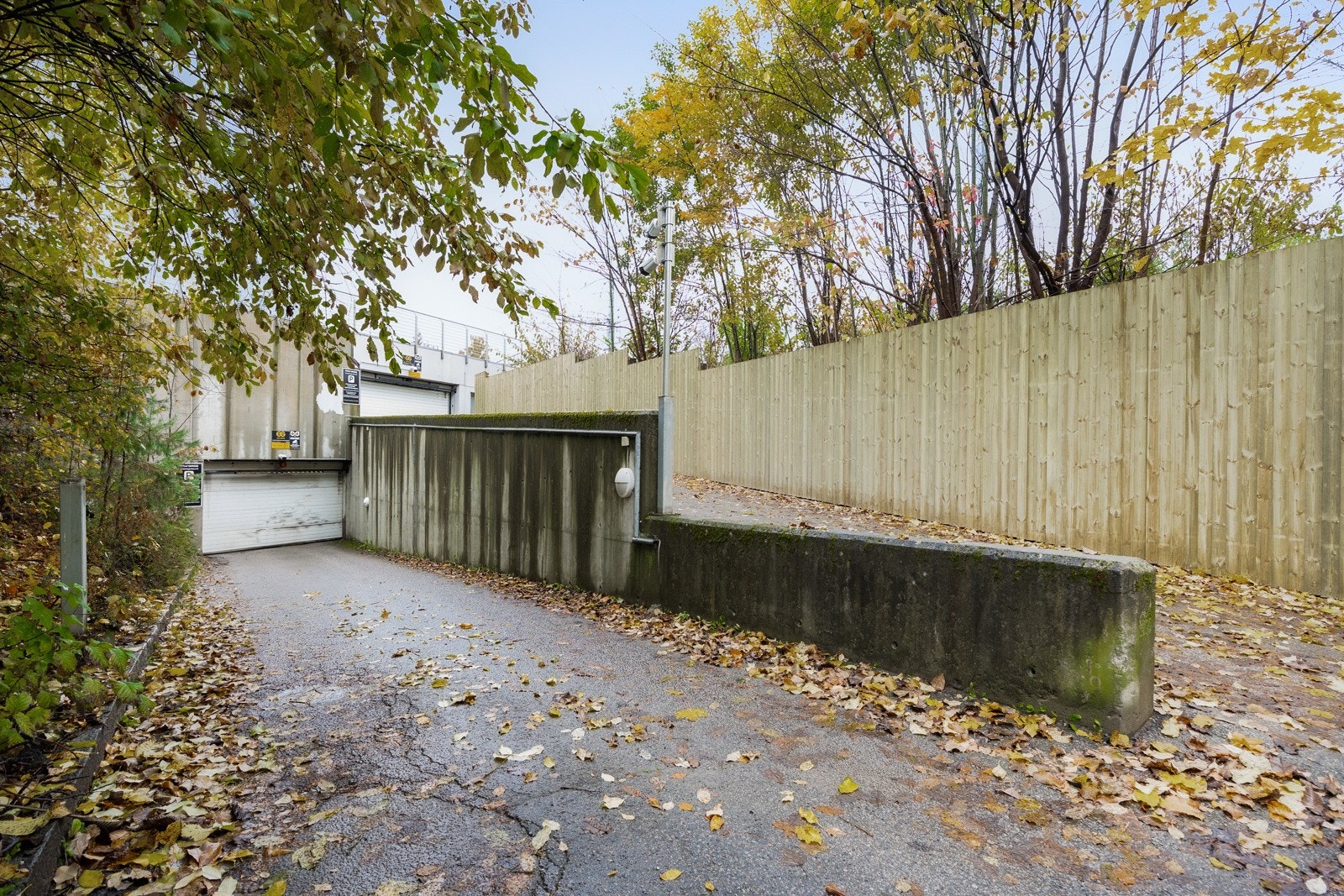 _10A5971.jpg Galleribilde