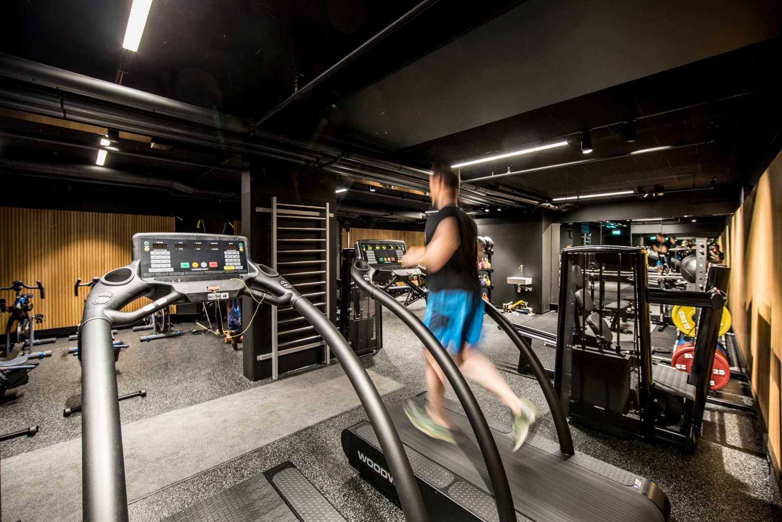 Velutstyrt trimrom Galleribilde