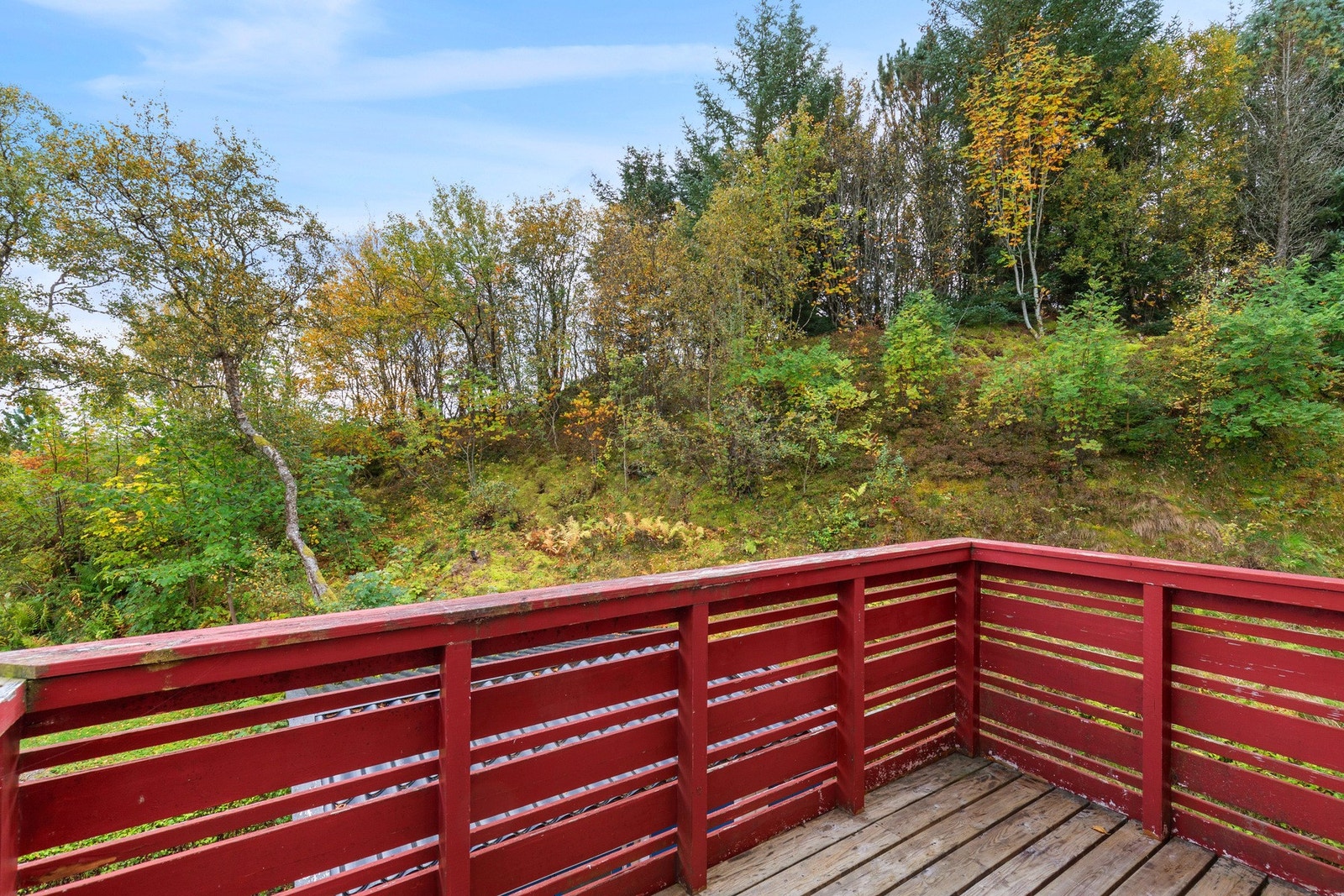 Skjermet og privat beliggenhet Galleribilde