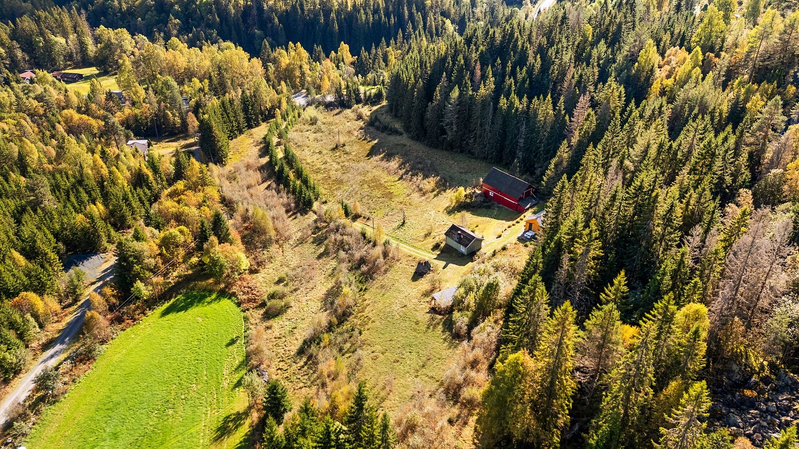 Velkommen til visning! Galleribilde
