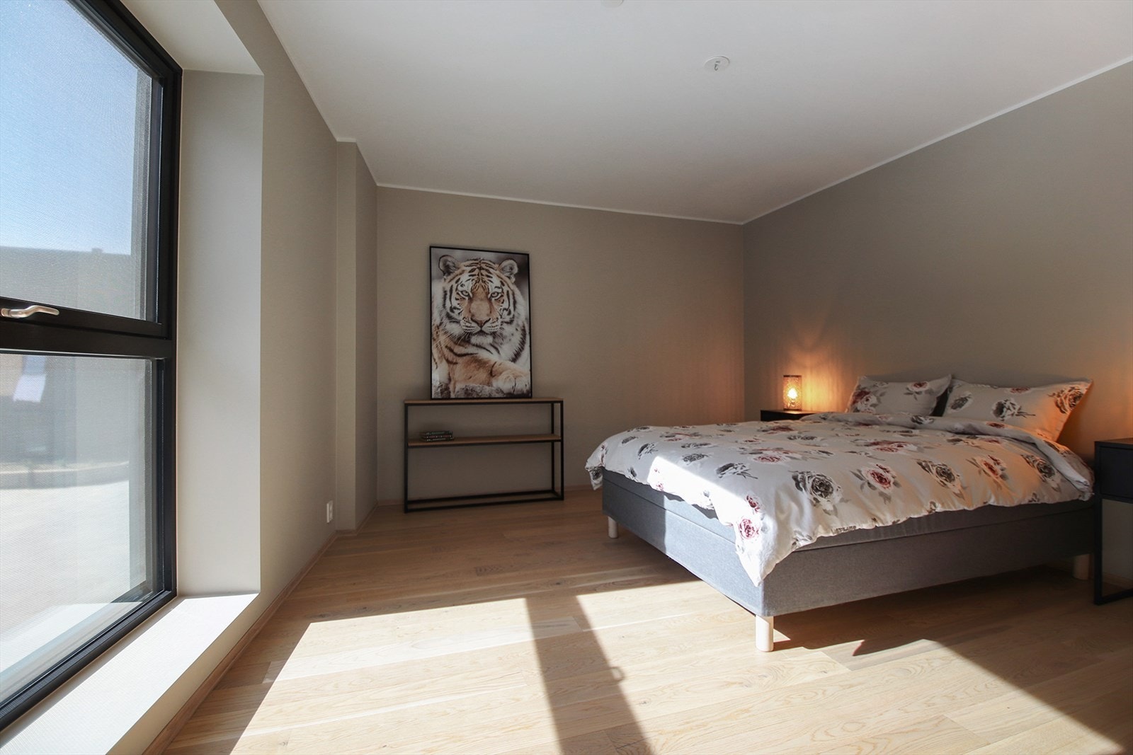 Stor soverom Galleribilde