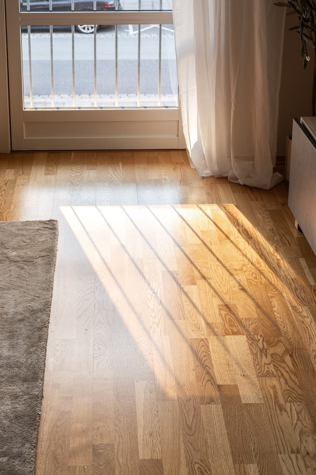 Flott lysinnslipp fra store vinduer. Galleribilde