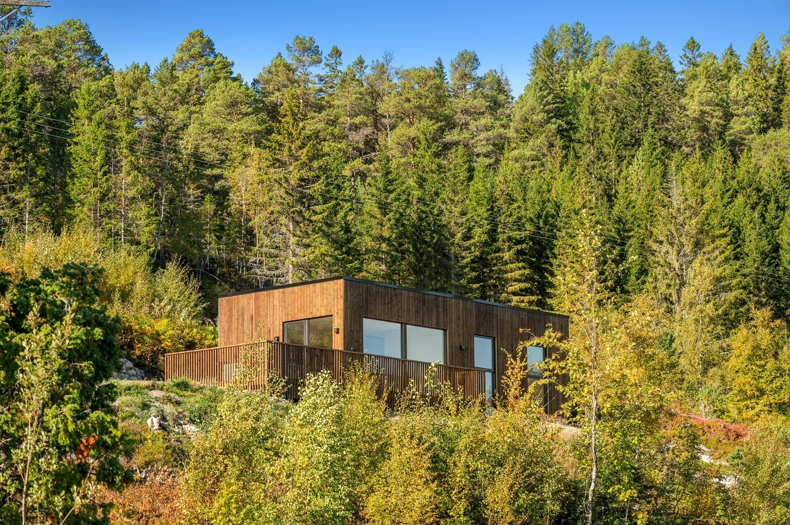 Velkommen på visning! Galleribilde