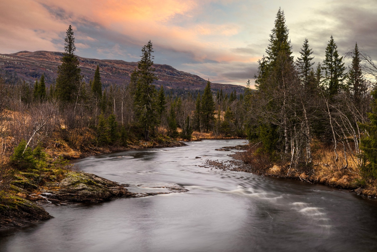 Nyt fjelllandskapet året rundt. Galleribilde