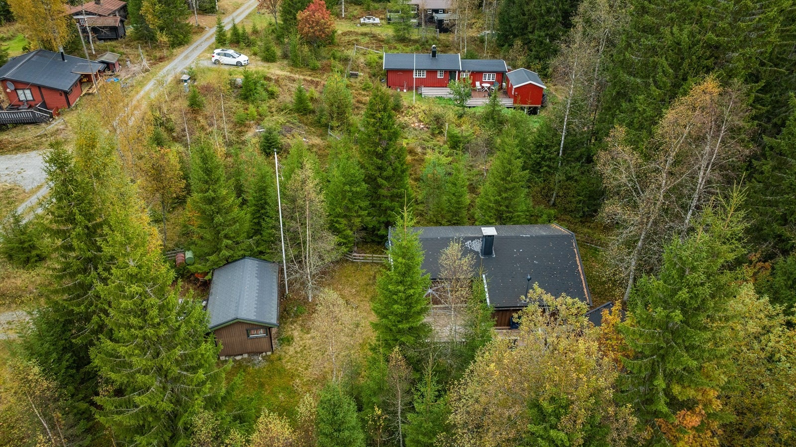 Hytta har en stor tomt på 1 479 kvm Galleribilde