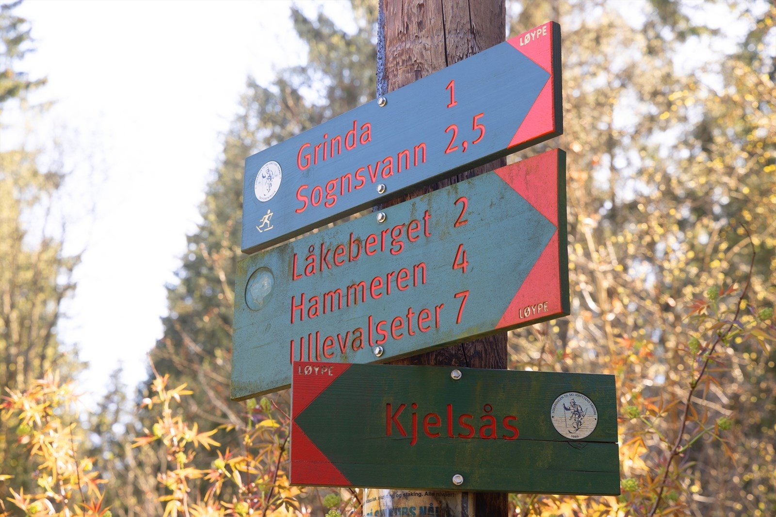 Du har enkel tilgang til Nordmarkas innfartsårer med turmuligheter, skogsløyper og skiløyper vinterstid enten via Maridalen eller grønne forbindelser som Havnabakken og Damefallene mot Sognsvann. Galleribilde