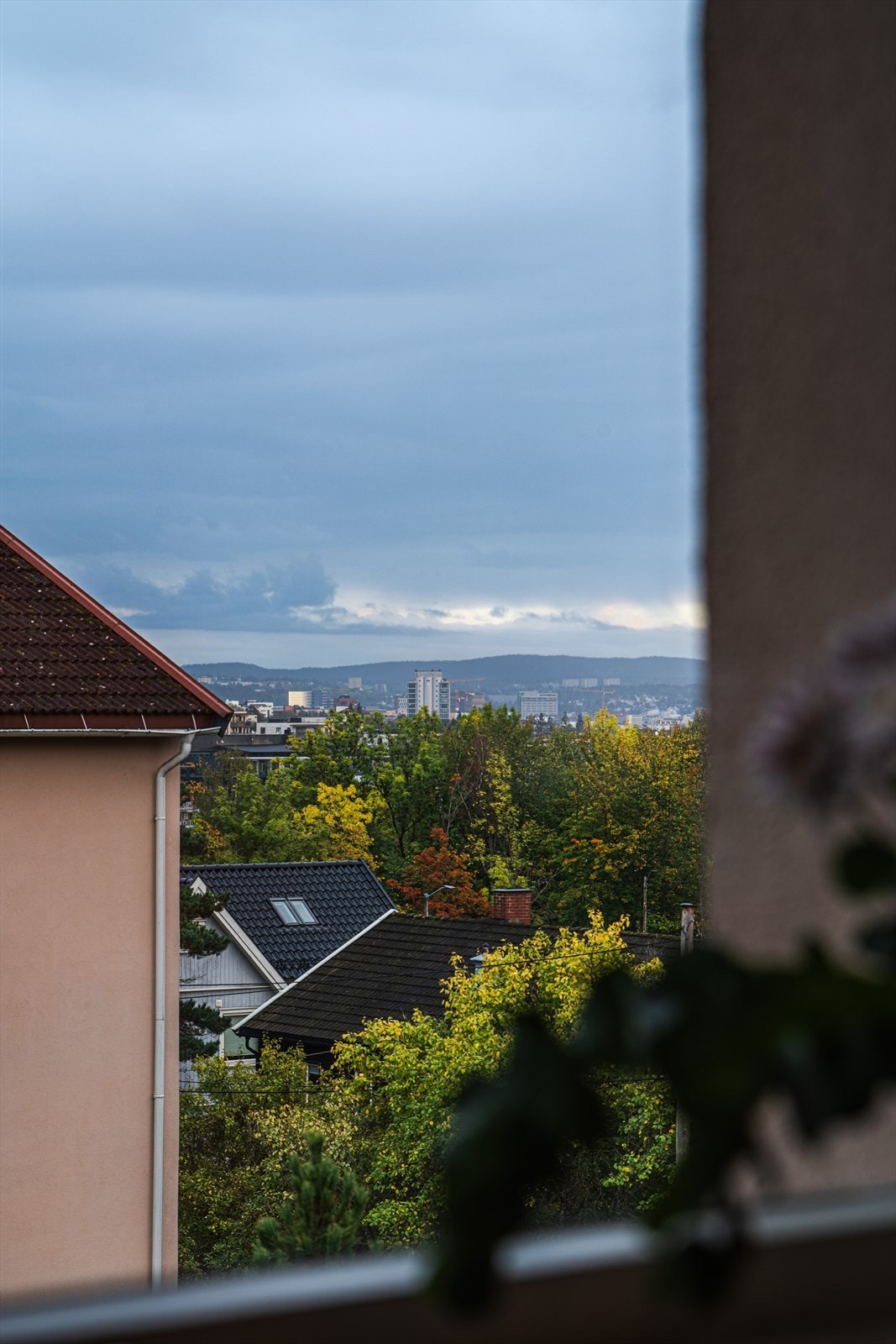 Detaljbilde. Galleribilde