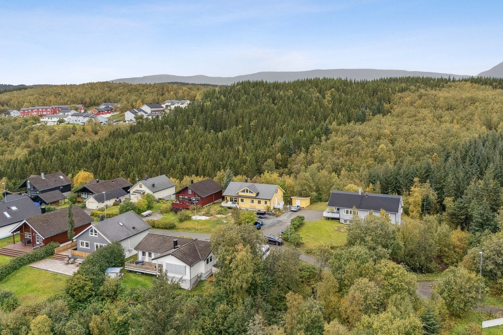 Velkommen på visning! Galleribilde