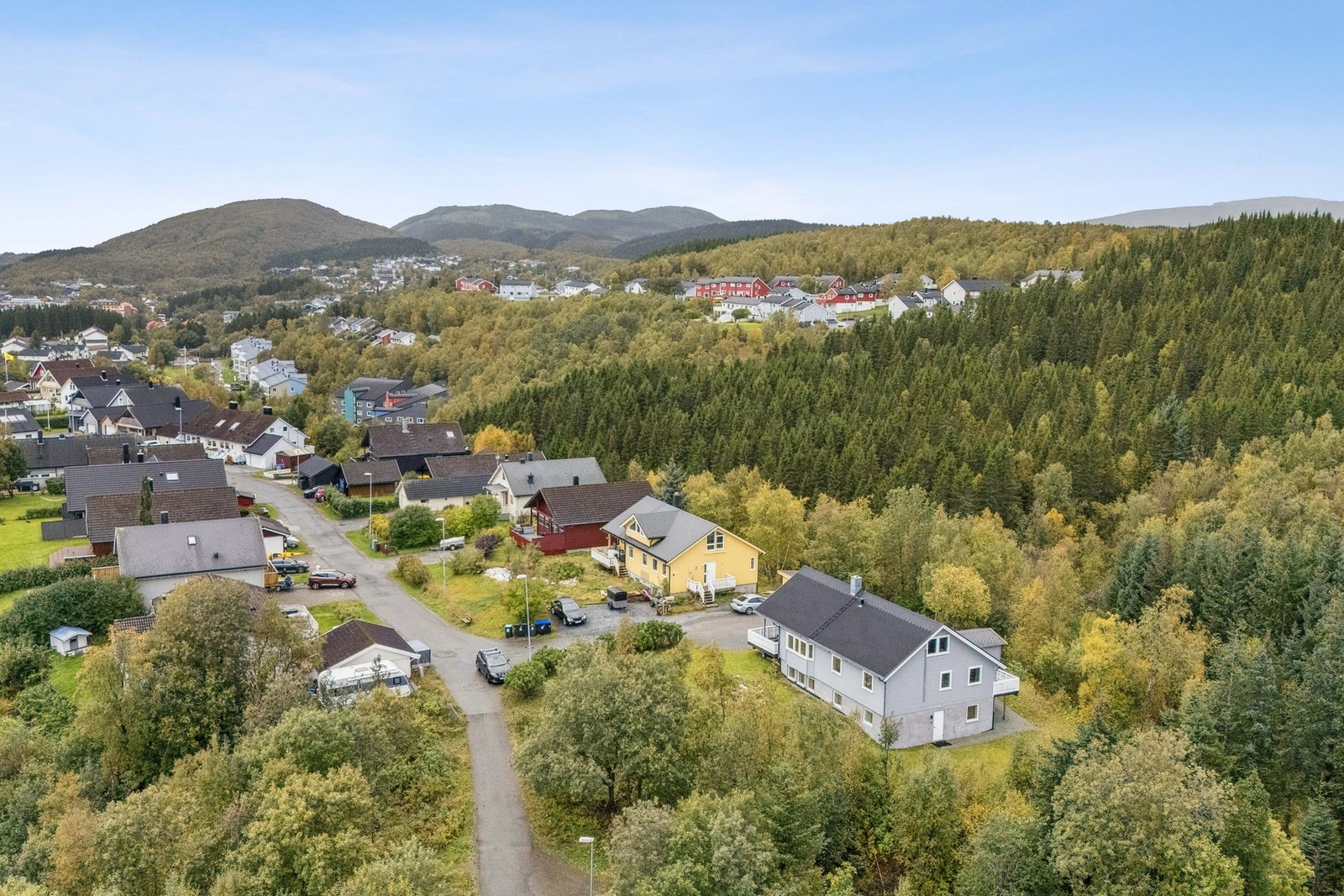 Velkommen på visning! Galleribilde