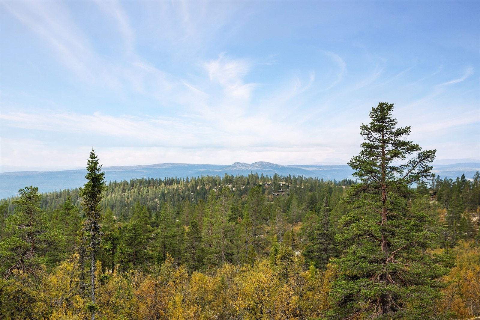 Her sitter du høyt og fritt med flott panoramautsikt! Galleribilde