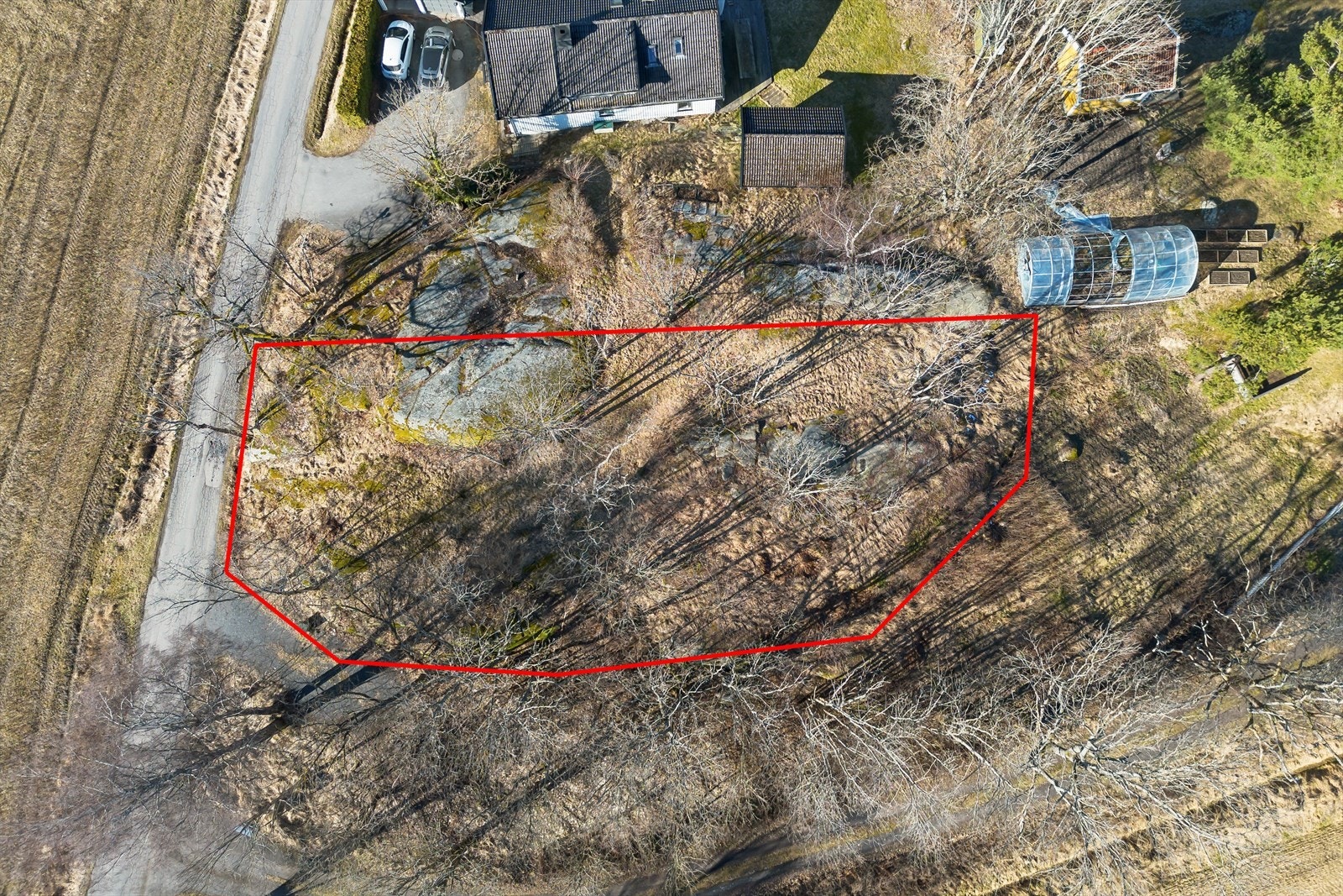 Stor selveier tomt på 938 kvm. Galleribilde