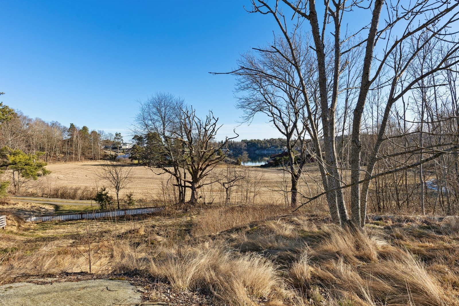 Naturskjønne omgivelser! Galleribilde