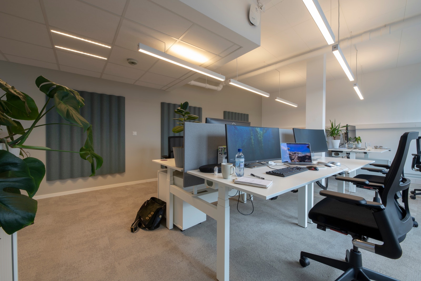 Bilder fra 2. etg - Oppusset lokale for leietaker. Galleribilde