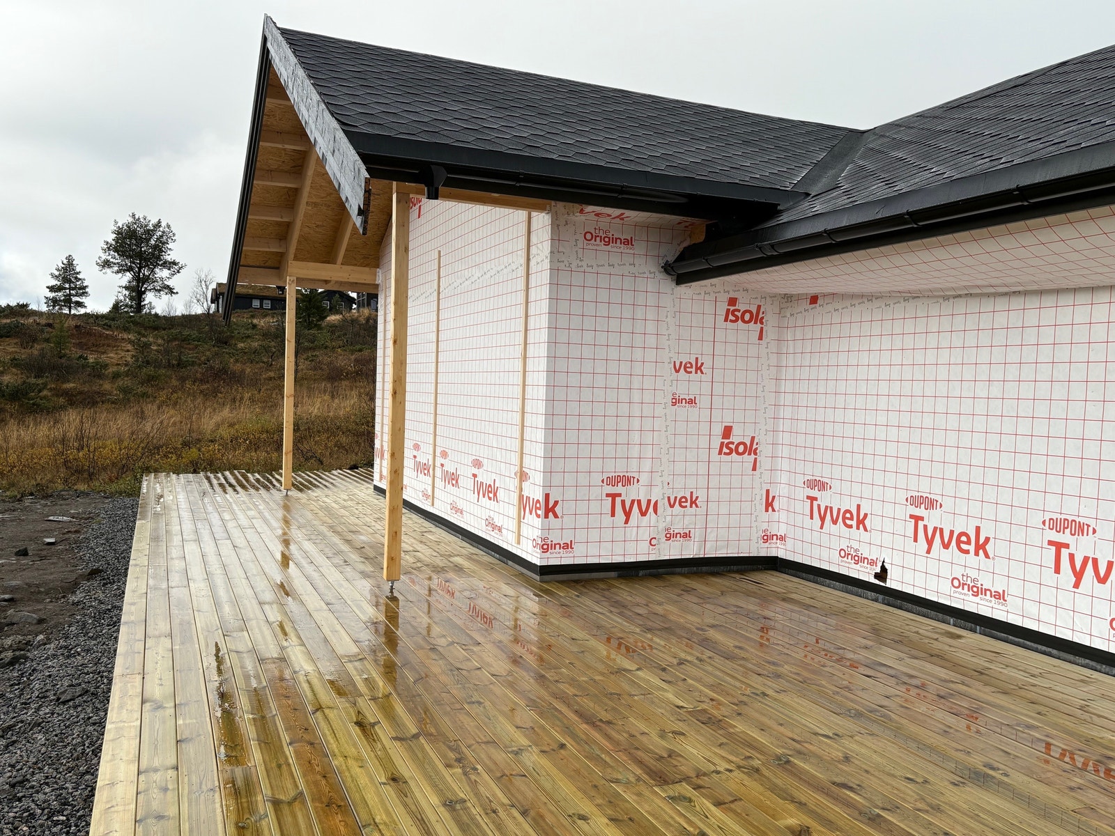 5.10.2025 Galleribilde