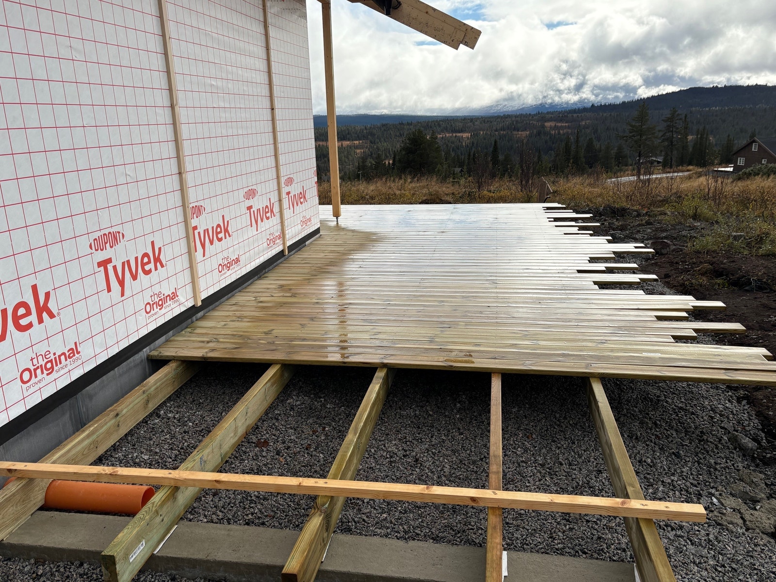 5.10.2025 Galleribilde