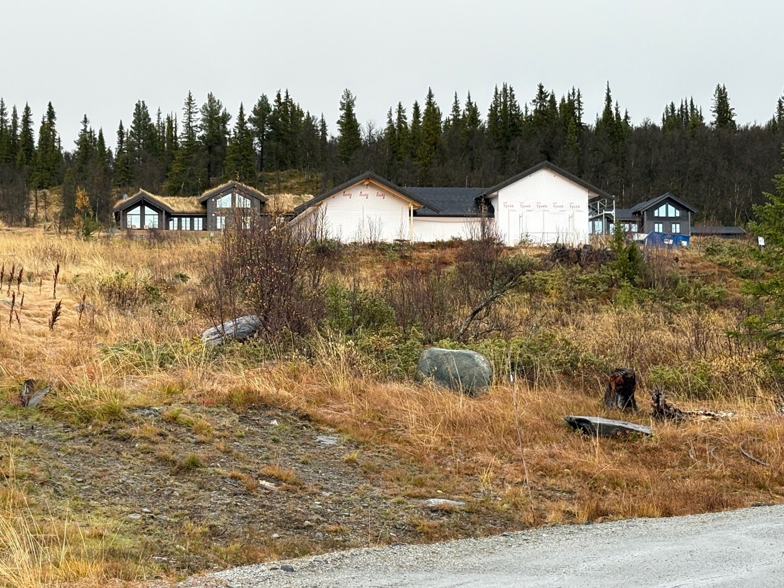 5.10.2025 Galleribilde