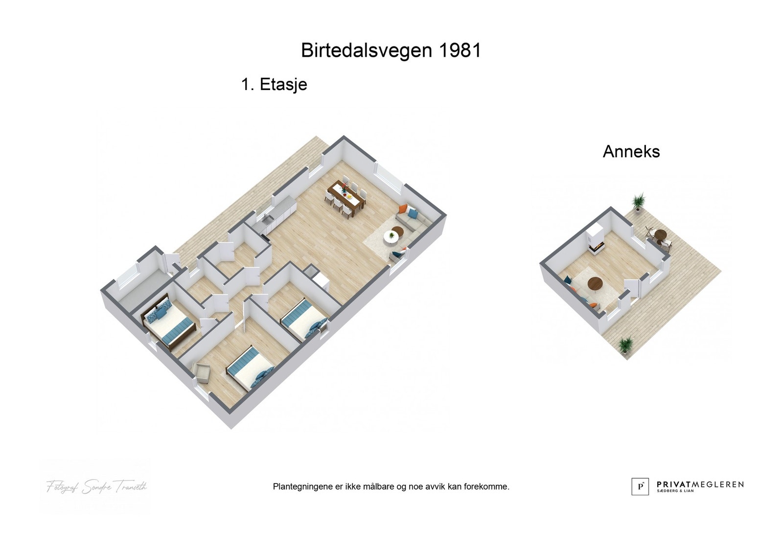 3D Plantegning Galleribilde